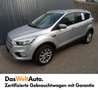 Ford Kuga 1,5 EcoBoost Trend Silber - thumbnail 1
