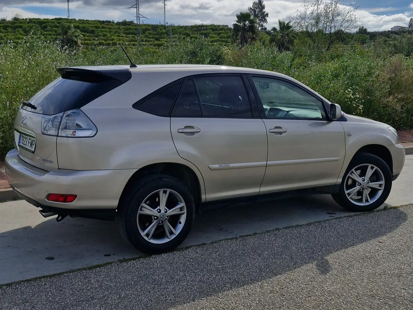 Lexus RX 400 RX 400h Luxury Luxury Oro - 1