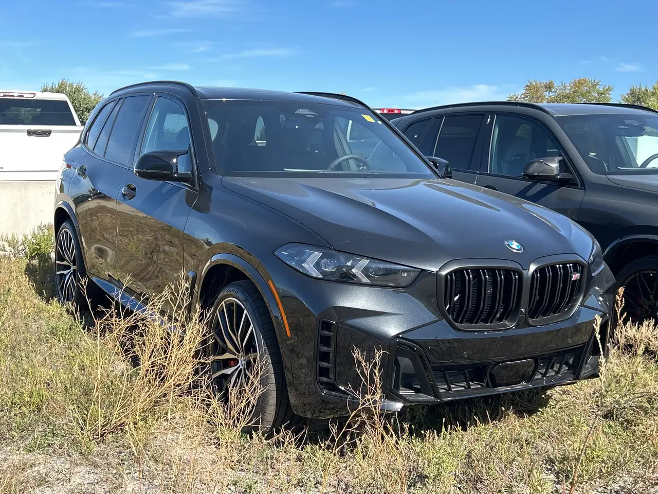BMW X5 снимка BMW X5