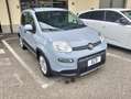 Fiat Panda Panda III 1.0 firefly hybrid s Grigio - thumbnail 2