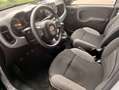 Fiat Panda Panda III 1.0 firefly hybrid s Grigio - thumbnail 10