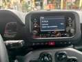 Fiat Panda Panda III 1.0 firefly hybrid s Grigio - thumbnail 7