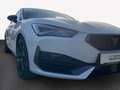 CUPRA Leon 2.0TSI DSG ACC DCC KESSY FULLINK PARKLENK V+H KAME Bianco - thumbnail 5