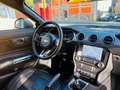 Ford Mustang 2.3 Ecoboost / 55 Years Edition / Cabrio / Full Op Grau - thumbnail 19