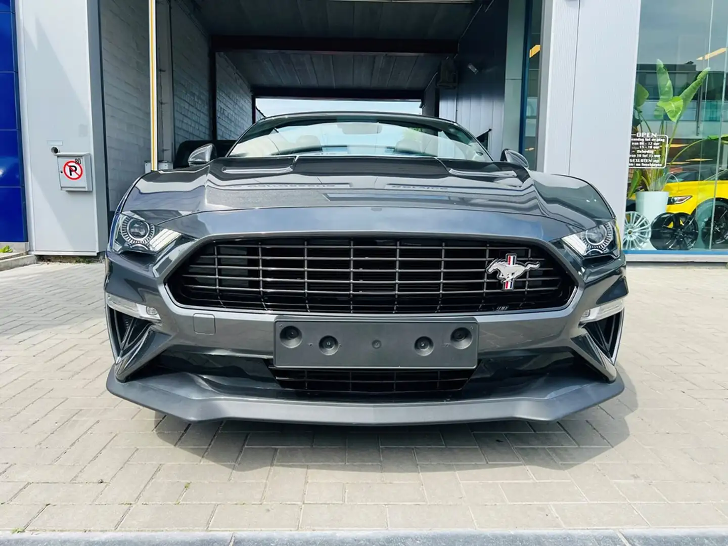 Ford Mustang 2.3 Ecoboost / 55 Years Edition / Cabrio / Full Op Grau - 2