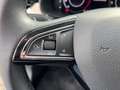 Skoda Kamiq Style 1.0 TSI AHK ACC LED Sitzheizung DAB+ KLIMA Verde - thumbnail 14