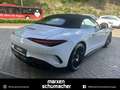 Mercedes-Benz SL 43 AMG AMG SL 43 V8-Styling+Aero+Night+DIGITAL+Memory Weiß - thumbnail 4