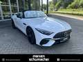 Mercedes-Benz SL 43 AMG AMG SL 43 V8-Styling+Aero+Night+DIGITAL+Memory Weiß - thumbnail 28