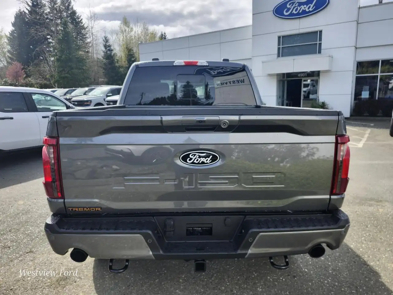 Ford F 150 снимка Ford F 150