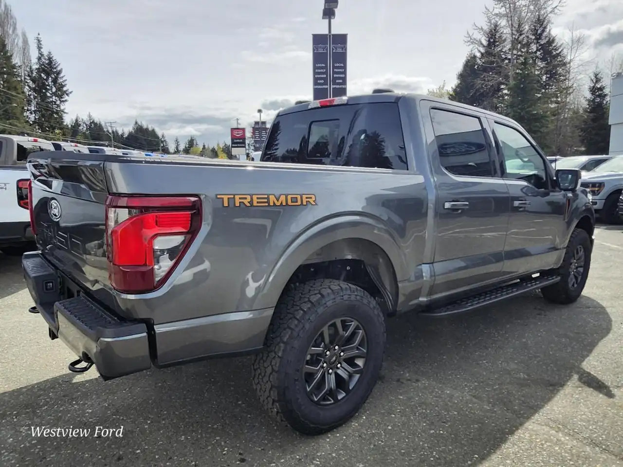 Ford F 150 снимка Ford F 150