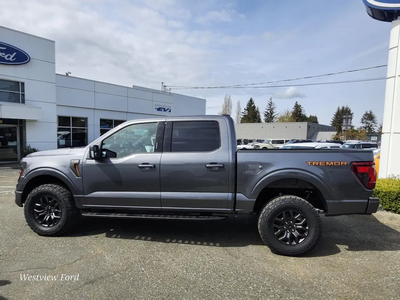 Ford F 150 снимка Ford F 150