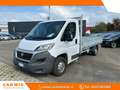 Fiat Ducato 35 Plm 2.3 mjt 130cv Cassone Fisso Bianco - thumbnail 1
