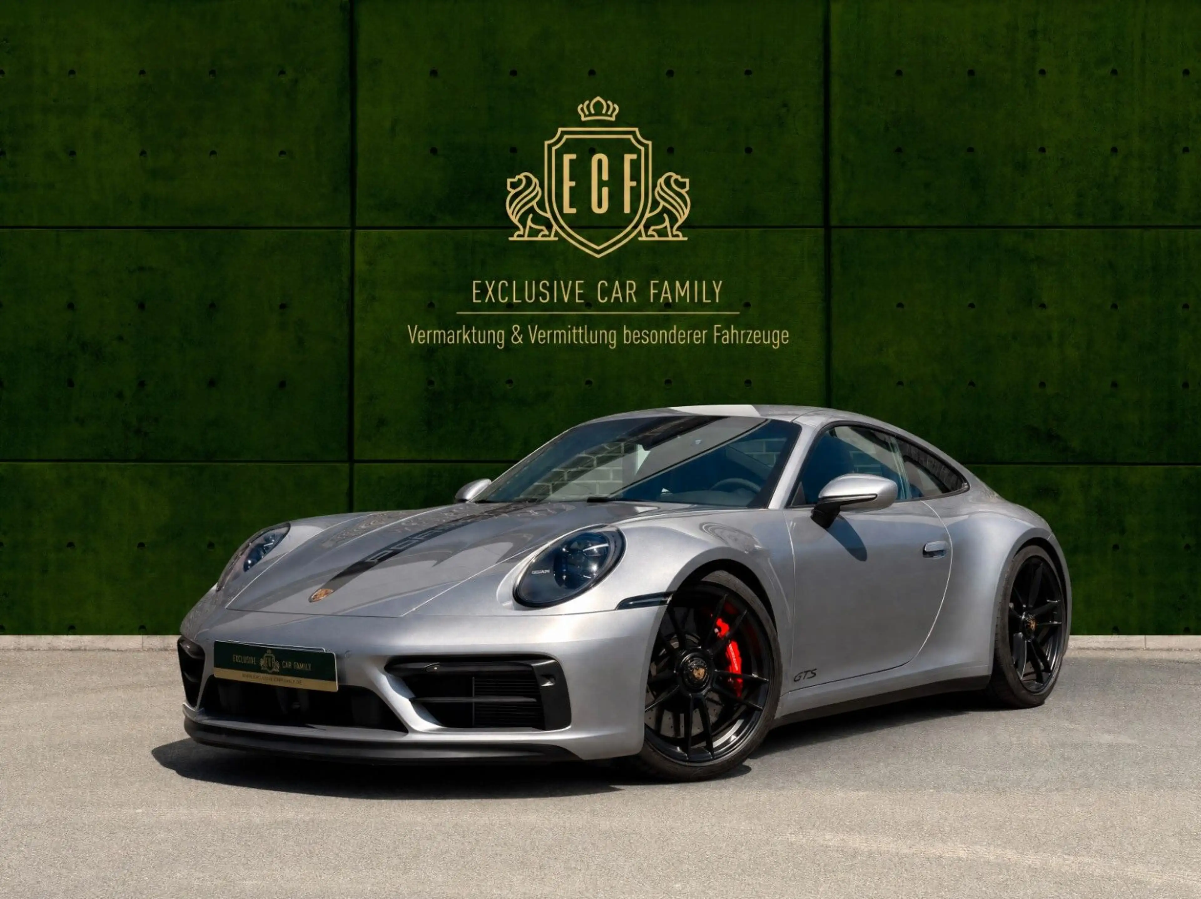 Porsche 992 Carrera 4 GTS Schale - Pepita - Service NEU