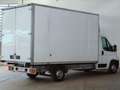 Peugeot Boxer 335 2.2 bluehdi 165cv Boxato Trasporto Mobili Bianco - thumbnail 7