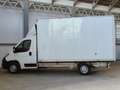 Peugeot Boxer 335 2.2 bluehdi 165cv Boxato Trasporto Mobili Bianco - thumbnail 4