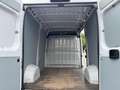 Fiat Ducato 3.0 MAXI/CNG GAZ NATUREL+ESSENCE/3 places! Bianco - thumbnail 7