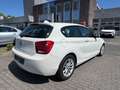 BMW 114 114i Lim. Advantage Plus Paket & Sitzheizung Blanco - thumbnail 10
