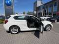 BMW 114 114i Lim. Advantage Plus Paket & Sitzheizung Blanco - thumbnail 8