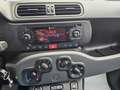 Fiat Panda 1.2 Pop Grau - thumbnail 7