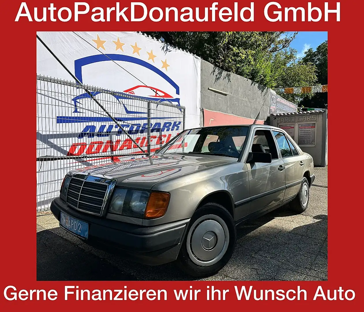 Mercedes-Benz W124 250D*ERSTBESITZ* Beige - 1