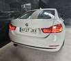 BMW 428 428iA Gran Coupé Blanco - thumbnail 30