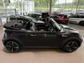 MINI Cooper S Cabrio Sondermodell Highgate Navi Leder Brązowy - thumbnail 14