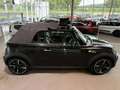MINI Cooper S Cabrio Sondermodell Highgate Navi Leder Brązowy - thumbnail 13