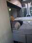 Caravans-Wohnm Mercedes-Benz Stoere en comfortabele 4 persoons Buscamper met lengtebed Weiß - thumbnail 12