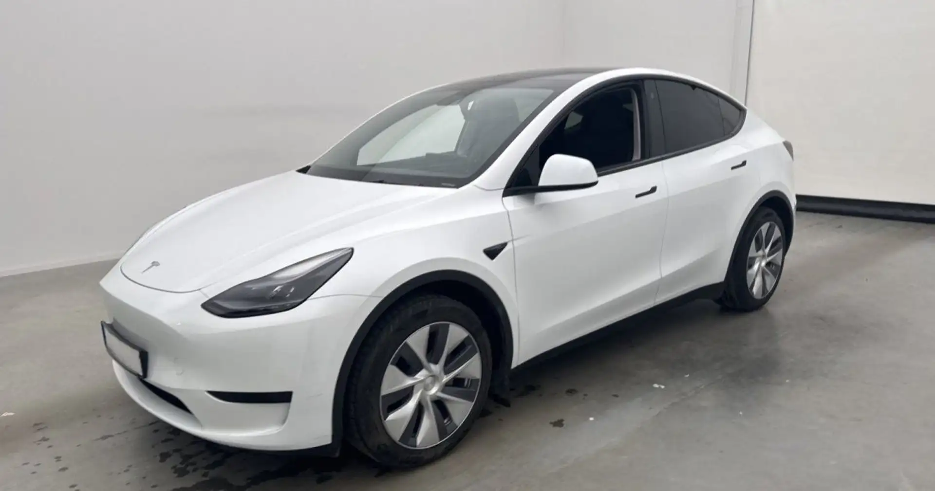 Tesla Model Y Standard Range - 1