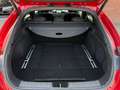 Kia ProCeed / pro_cee'd ProCeed 1.0 T-GDi GT-Line * GARANTIE 12 MOIS Rojo - thumbnail 17