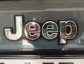 Jeep Renegade Renegade 1.6 mjt Limited fwd 120cv E6 Verde - thumbnail 14