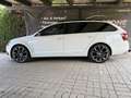 Skoda Octavia Combi RS 2,0 TDI 4x4 DSG *Panorama*AHV*Keyless*... Weiß - thumbnail 3