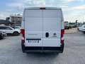 Fiat Ducato 33q 2.2 Mjt 140CV PM-TM / IN PRONTA CONSEGNA Bianco - thumbnail 5