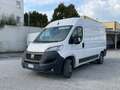 Fiat Ducato 33q 2.2 Mjt 140CV PM-TM / IN PRONTA CONSEGNA Bianco - thumbnail 3