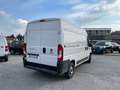 Fiat Ducato 33q 2.2 Mjt 140CV PM-TM / IN PRONTA CONSEGNA Bianco - thumbnail 7