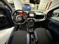 Fiat Panda Panda  4x4 Cross 0.9 t.air t. Cross 4x4 s Blu/Azzurro - thumbnail 12