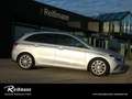 Mercedes-Benz B 250 4MATIC Progressive/Navi/Pano.-Dach/Autom. Silber - thumbnail 9