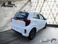 Kia Picanto 1.0 DPI AMT Vision +Navi+Rückfahrkamera+Parksensor Weiß - thumbnail 11