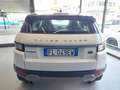 Land Rover Range Rover Evoque 2.0 TD4 150 CV 5p. HSE Blanc - thumbnail 6
