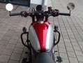 CFMOTO 450 CL-C mit Satteltaschen und Nebelscheinwerfer Rood - thumbnail 7