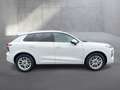 Audi Q3 TDI 110 kW  intense Weiß - thumbnail 6