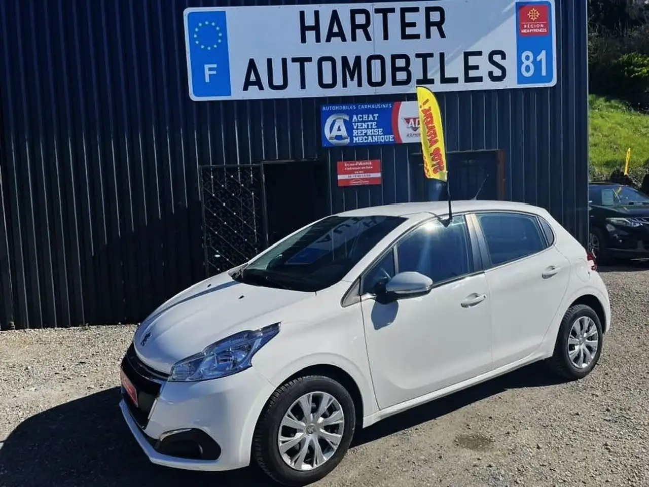 Peugeot 208 Ste Active Business 1.5 HDI 100 cv