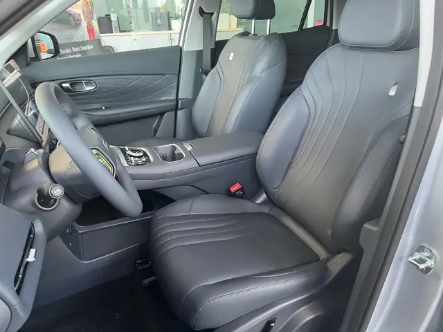 Geely Starray Em-I view 9