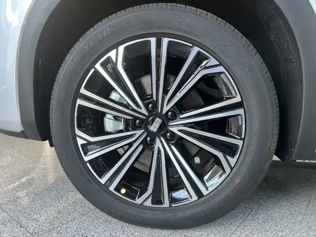 Geely Starray Em-I view 7