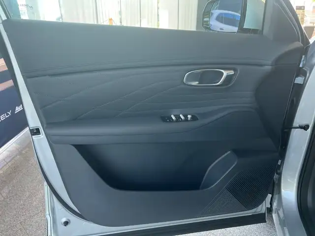 Geely Starray Em-I view 8