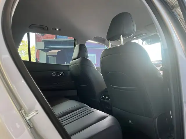 Geely Starray Em-I view 15