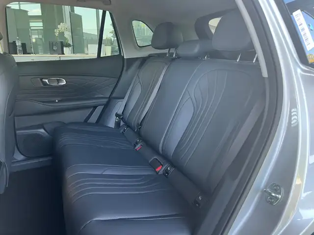 Geely Starray Em-I view 11
