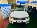 Land Rover Range Rover Sport Range Rover Sport3.0 tdV6Dynamic auto my17 Blanc - thumbnail 3