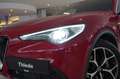Alfa Romeo Stelvio 2.2D AWD NAVI/LED/KAMERA/LEDER/ACC/AHK Rouge - thumbnail 4