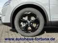 Nissan Qashqai Black Edition 1.5 e-Power Glasdach HUD Grau - thumbnail 5